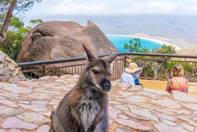 Wineglass Bay & Freycinet NP Full Day Tour From Hobart via Richmond Village - The Sum Up