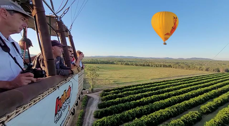 Cairns: Hot Air Balloon Flight With Transfers - The Sum Up