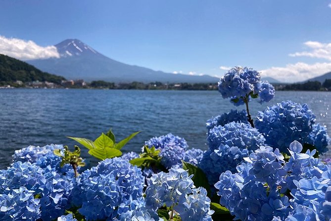 Lake Kawaguchiko Bike Tour - The Sum Up