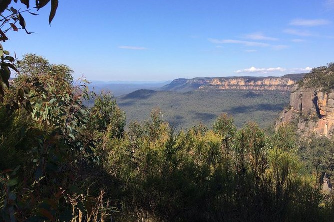 PRIVATE Blue Mountains Day Tour From Sydney With Wildlife Park and River Cruise - River Cruise and Return to Sydney