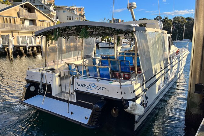 Whale Watching Boat Trip in Sydney - The Sum Up
