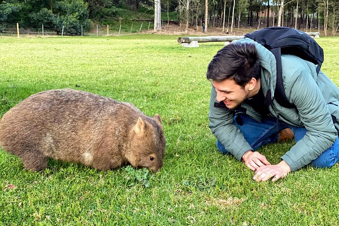 Wild Wombat and Kangaroo Day Tour - Frequently Asked Questions