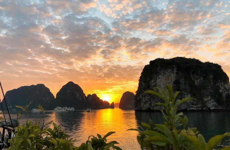 From Hanoi: Ha Long Bay Full-Day Guided Tour With Lunch - The Sum Up