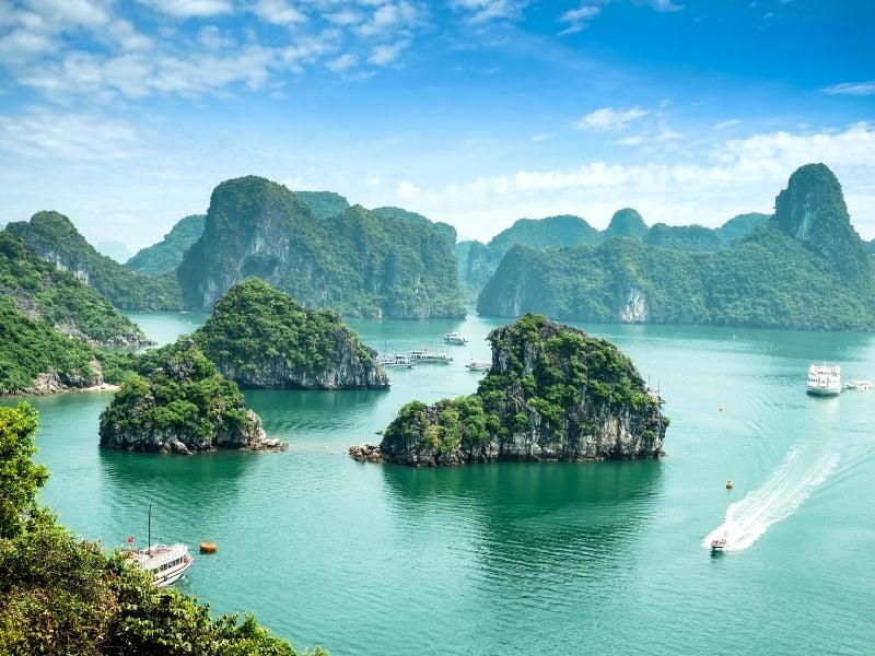 Tourist Junks at Ha Long Bay Vietnam()