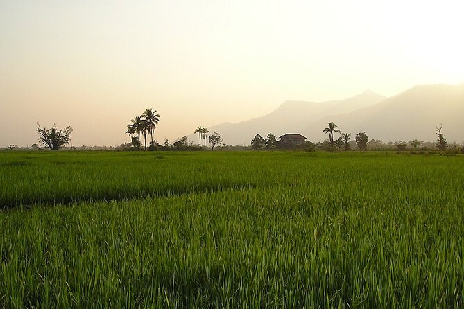 A Rice Journey in Luang Prabang