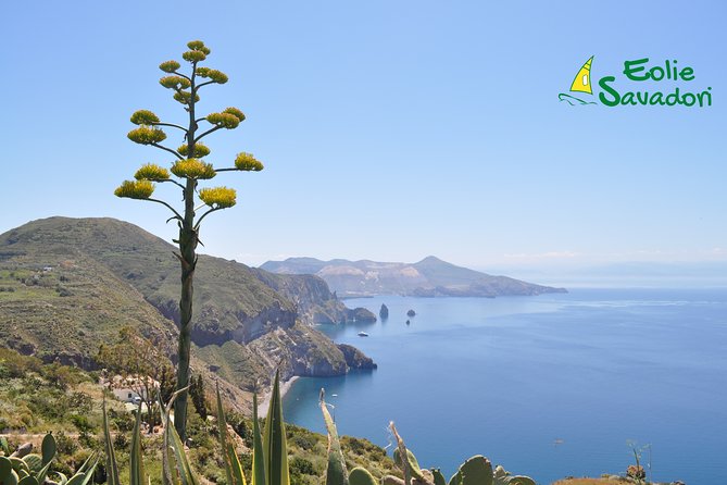 Aeolian Islands Speedboat Cruise From Tropea - Good To Know