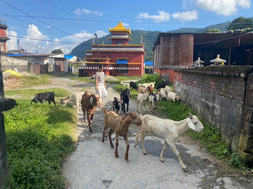 Afternoon Tibetan Cultural Tour - Good To Know