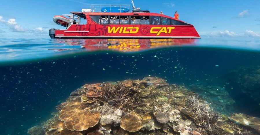 Airlie Beach: Full Day Outer Barrier Reef Snorkeling Trip