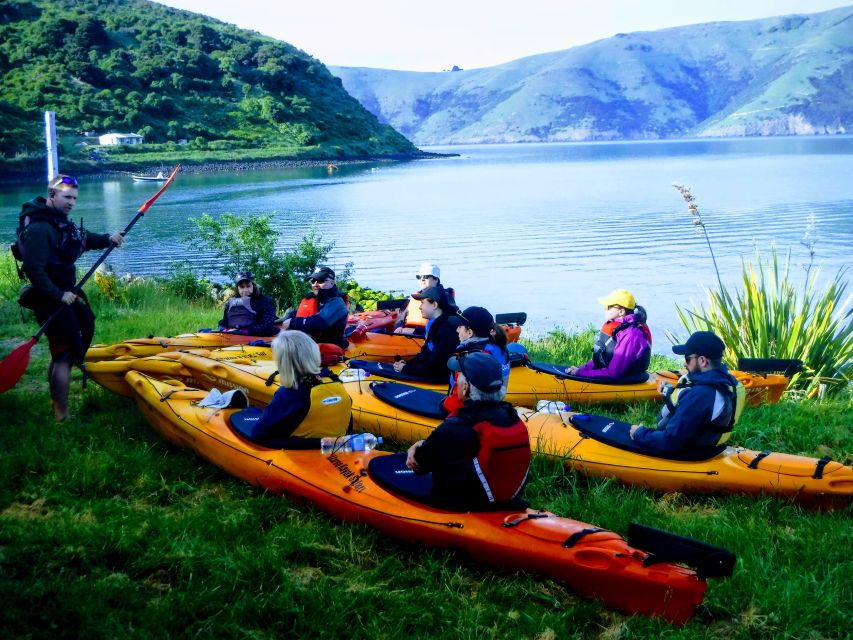Akaroa: 2.5-3-Hour Guided Sunrise Sea Kayaking Safari - Good To Know