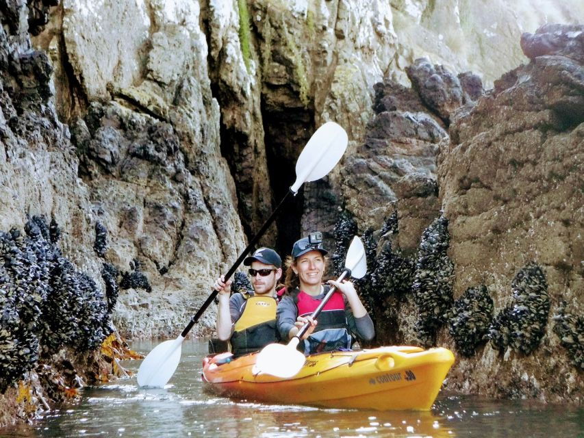 Akaroa Harbour 2-2.5 -Hour Eco Tour by Sea Kayak - Good To Know