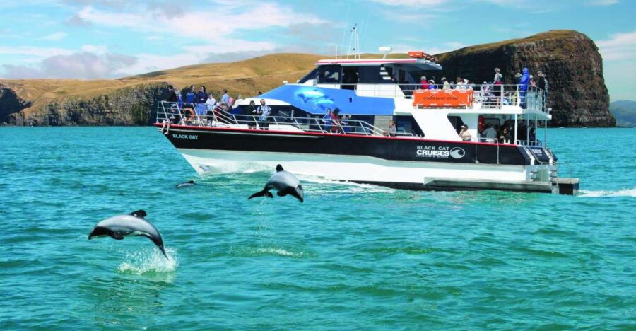 Akaroa Harbour 2-Hour Nature Cruise - Good To Know