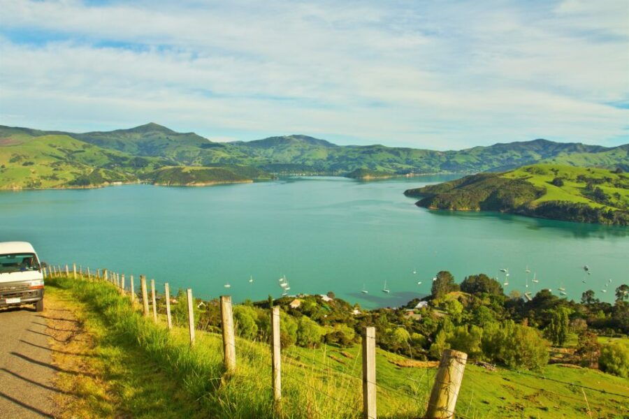 Akaroa: Pohatu Penguins Scenic Nature 2-Hour or 4-Hour Tour - Good To Know