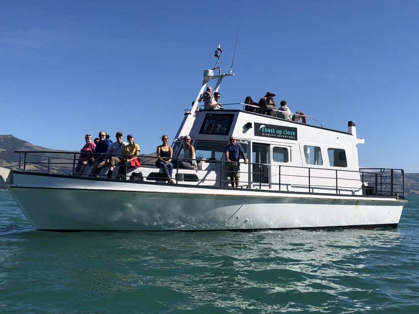 Akaroa: Scenic Coastline Wildlife Cruise - Good To Know