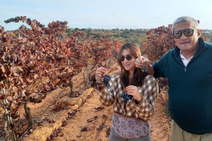 Albufeira: Winery Tour With Tapas Boards - Good To Know