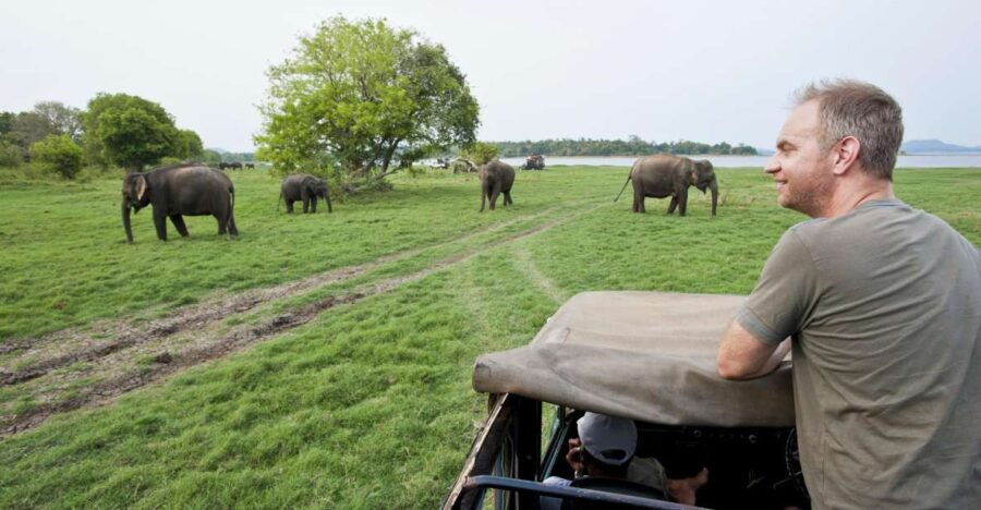 All-Inclusive Minneriya National Park Afternoon Safari - Good To Know