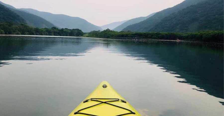 Amami: Morning Mangrove Kayaking Tour - Good To Know