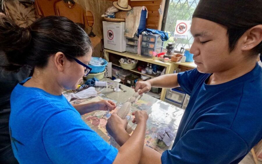 Amami: Oshima Tsumugi and Mud Dyeing Experience - Good To Know