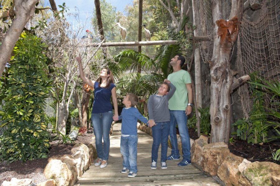 Arona: Entry Ticket to Tenerife’s Jungle Park Zoo
