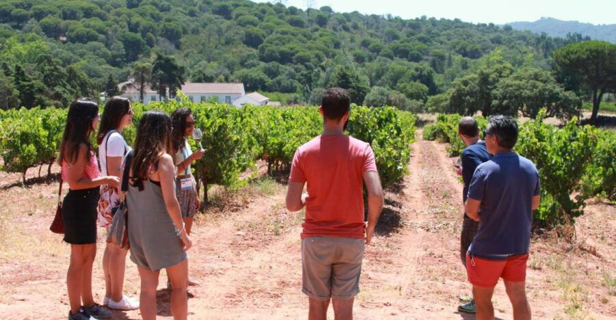 Arrábida and Sesimbra Day Tour & Wine Tasting - Good To Know