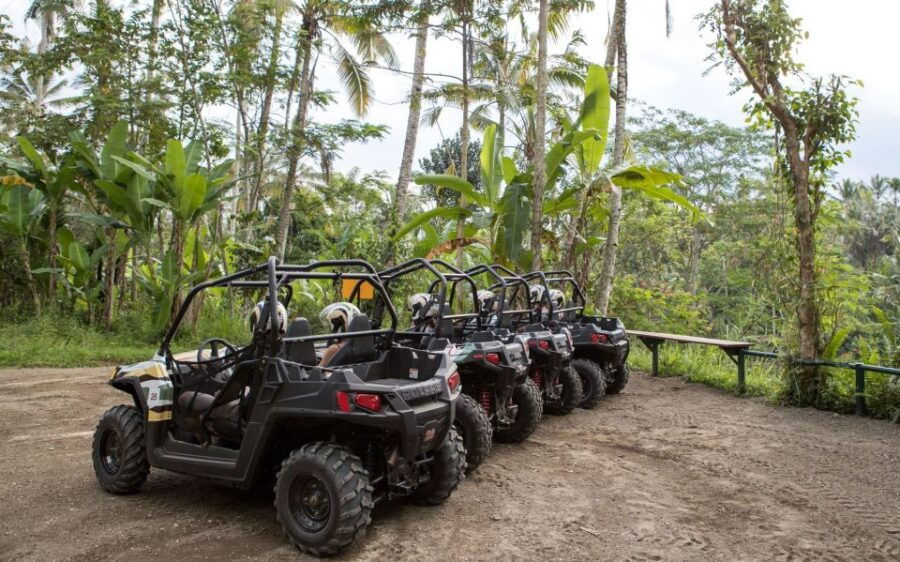 Bali: ATV Jungle Buggy Adventure - Good To Know