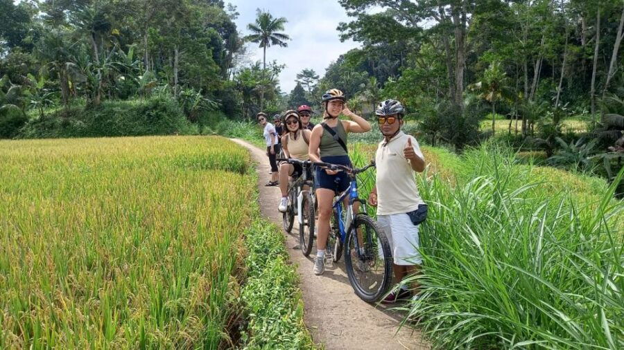 Bali Countryside Cycling Tour