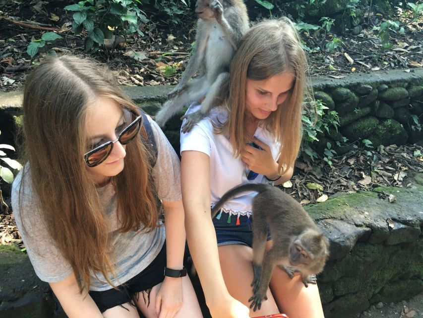 Bali: Leke-Leke Waterfall, Monkey Forest & Jungle Swing Tour