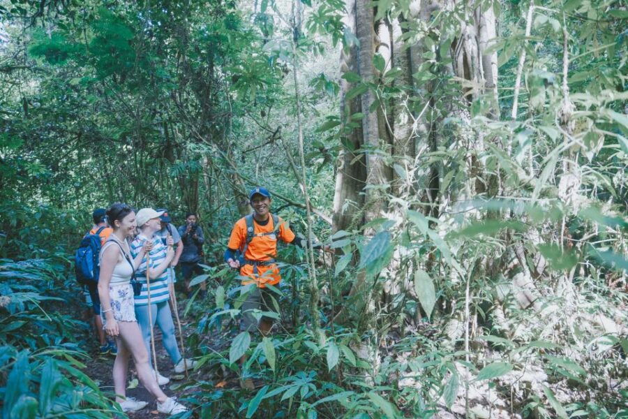 Bali: Munduk Waterfalls Trek, Twin Lakes and Temple Tour - Good To Know
