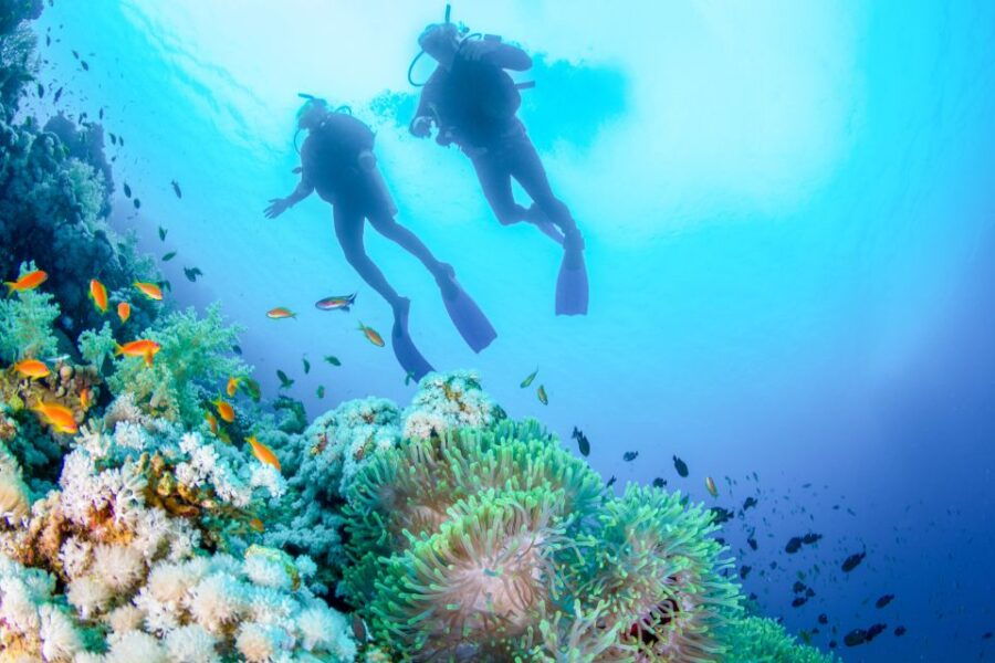 Bali: Padangbai Blue Lagoon Beginners Dive Experience - Good To Know