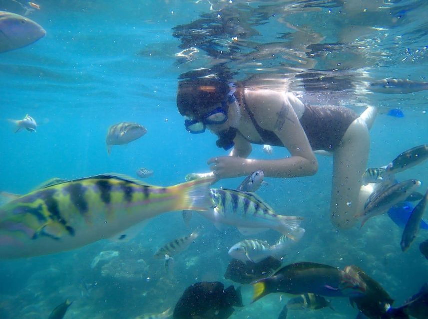 Bali: Private Snorkeling To Blue Lagoon And Tanjung Jepun - Good To Know