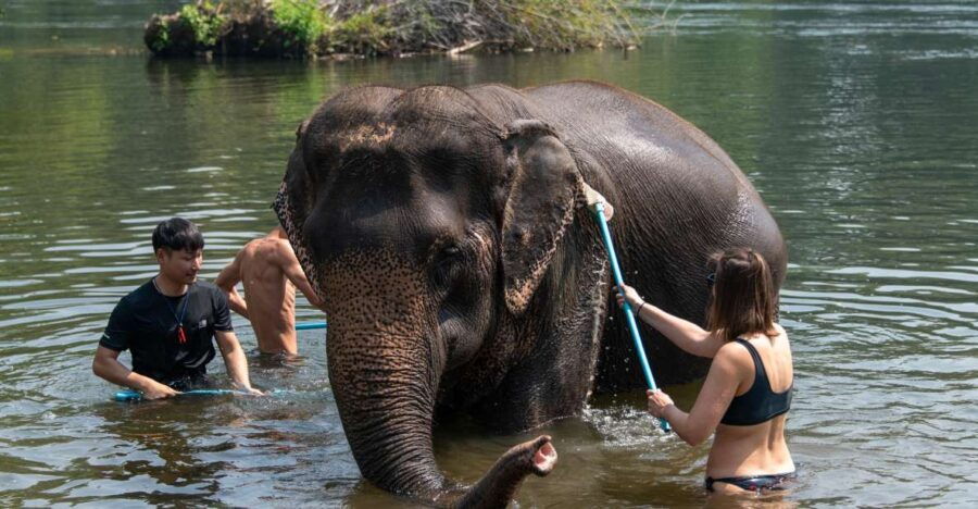 Bangkok: Elephant Sanctuary & Erawan Waterfall Tour - Good To Know