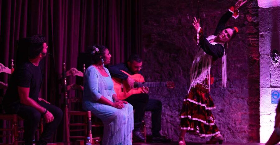 Barcelona: Flamenco Show at Palau Dalmases - Good To Know