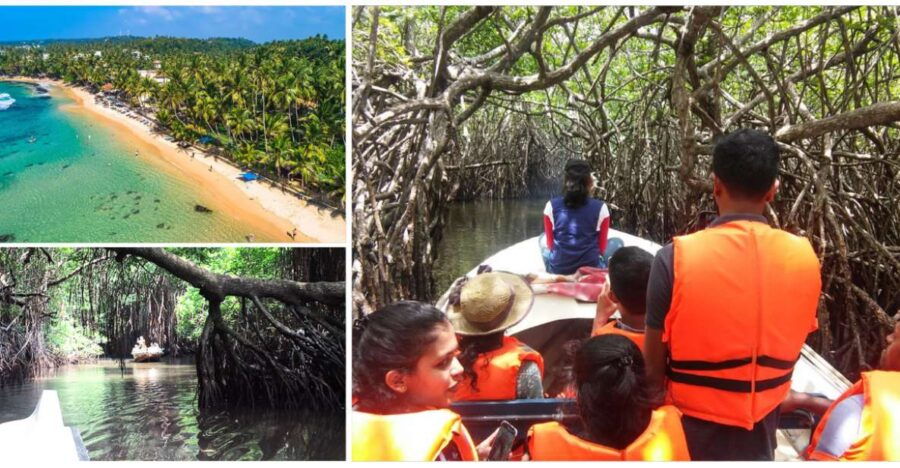 Bentota Beach, River Mangroves Lagoon, Wildlife Tour - Good To Know
