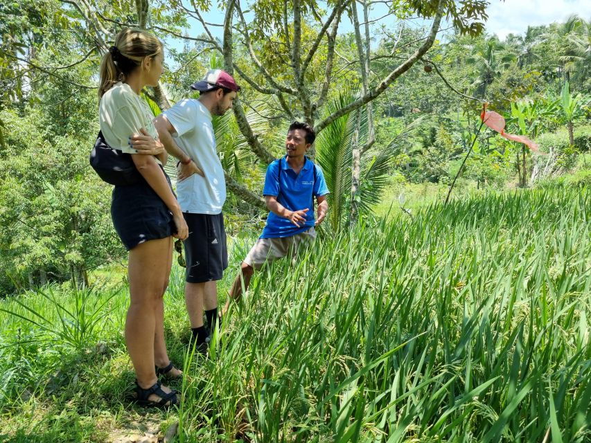 Best Lombok Private Customize Tour - Good To Know