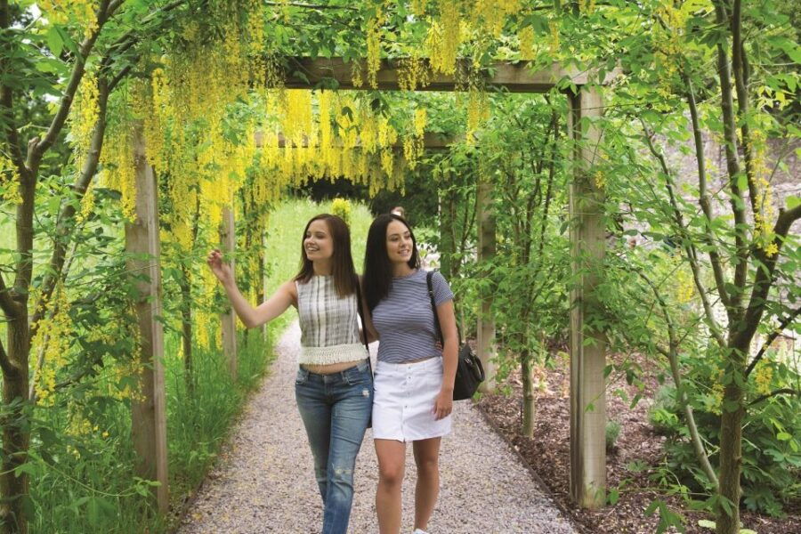 Blarney Castle Full-Day Tour From Dublin - Good To Know