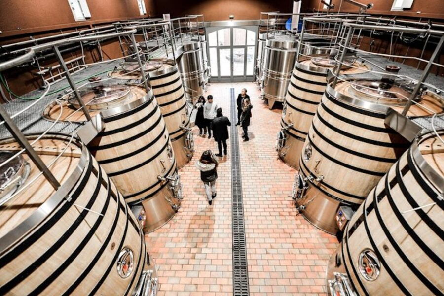 Bordeaux: St-Emilion & Medoc Wine Day Tour With Lunch - Good To Know