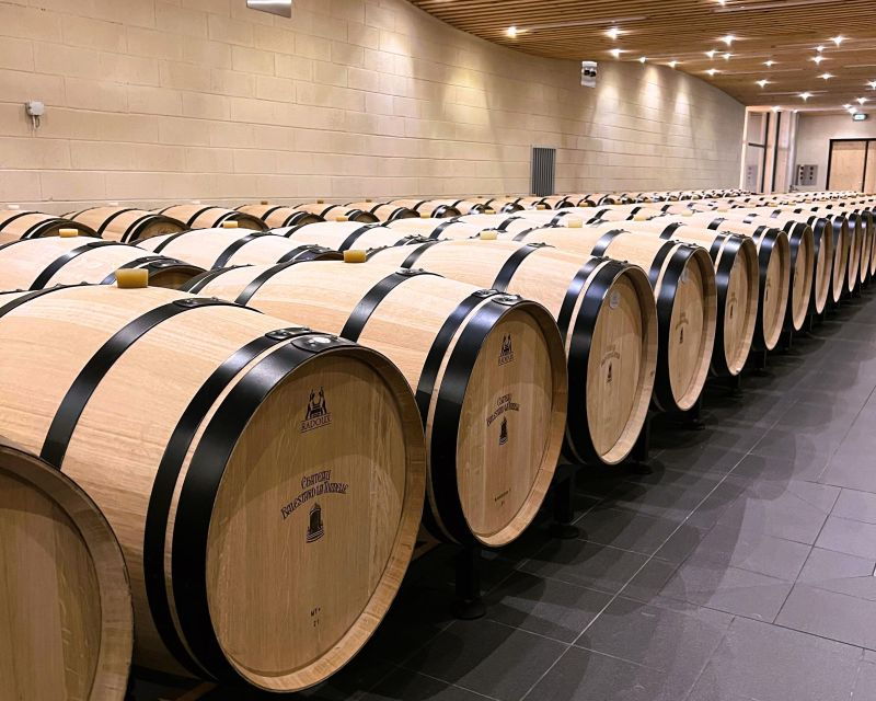 Bordeaux: St-Emilion Vineyards E-Bike Tour With Wine & Lunch - Good To Know