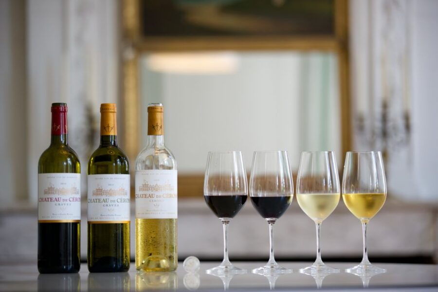 Bordeaux: Wine Country Vineyards Tour W/ Local Wine Tastings - Good To Know