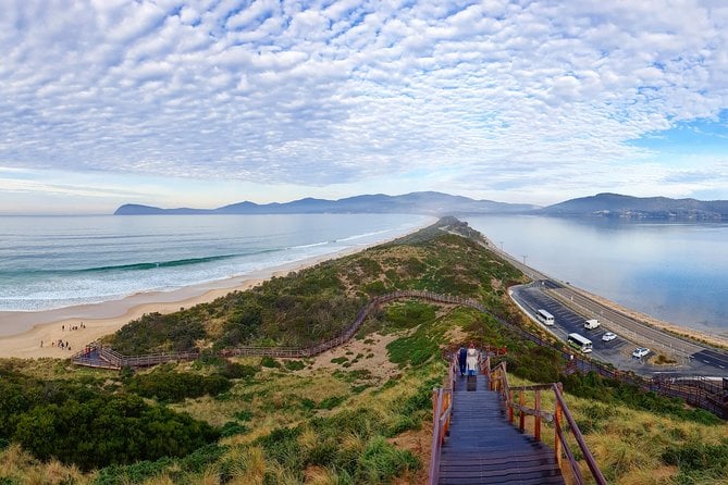 Bruny Island Produce Sightseeing and Exclusive Lighthouse Tour