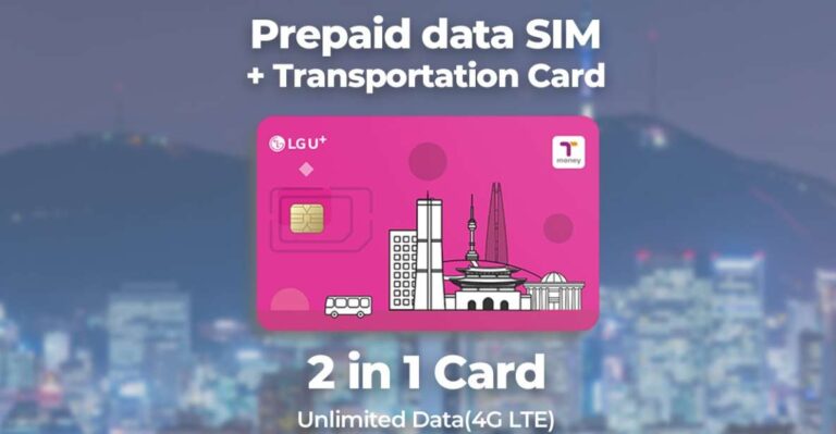 Busan Airport: Traveler SIM and Public Transportation Card