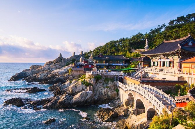 Busan: Fully Customizable Private Tour