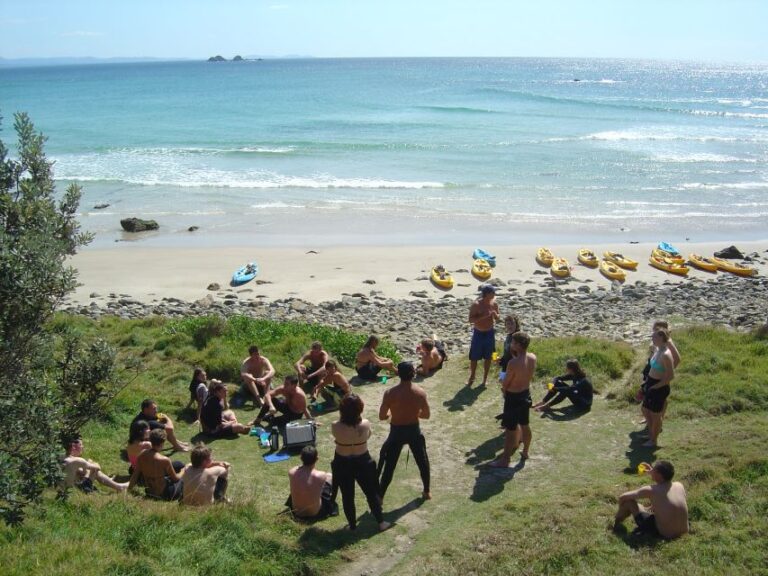 Byron Bay: Kayak With Dolphins Tour