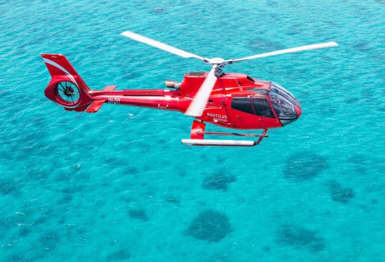 Cairns: Great Barrier Reef Cruise & Scenic Helicopter Flight