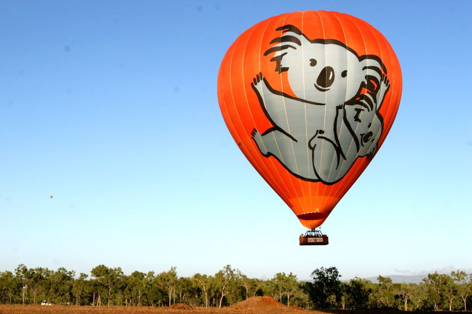 Cairns: Hot Air Balloon Flight With Transfers - Good To Know