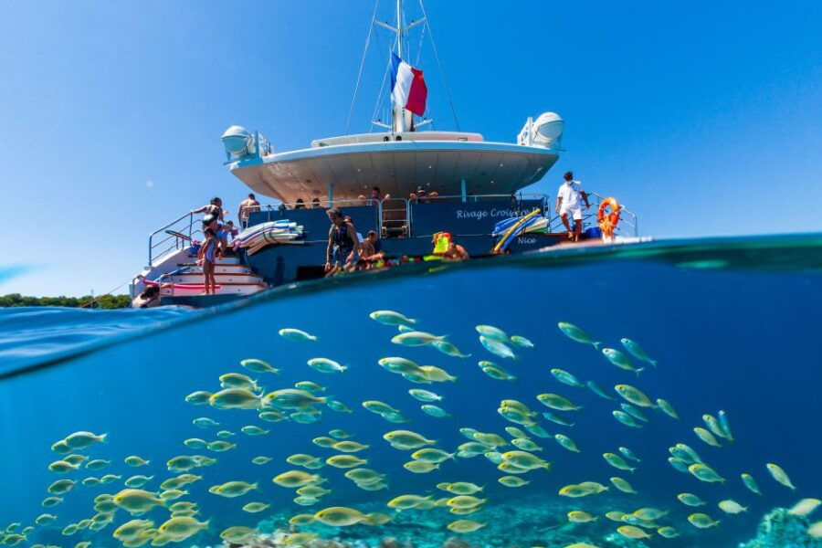 Cannes: Half-Day Catamaran Cruise - Good To Know