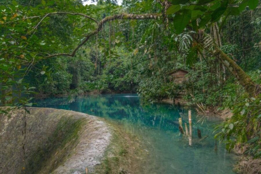 Cebu: Moalboal Island Hopper Cruise With Kawasan Falls Visit