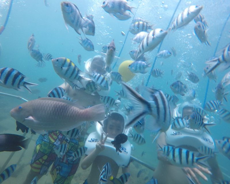 Cham Island: Underwater Walking & Snorkeling Tour - Good To Know