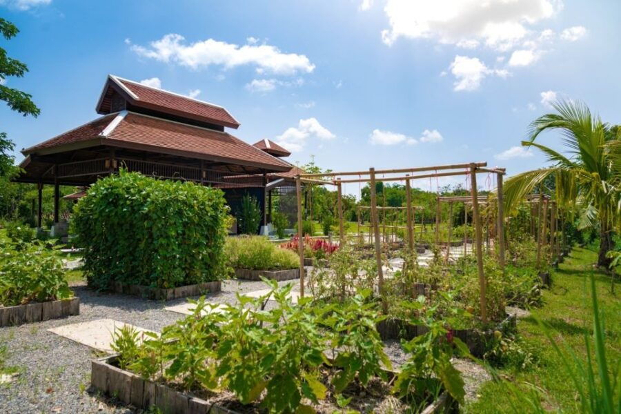 Chiang Mai: Authentic Thai Cooking Class and Farm Visit - Good To Know