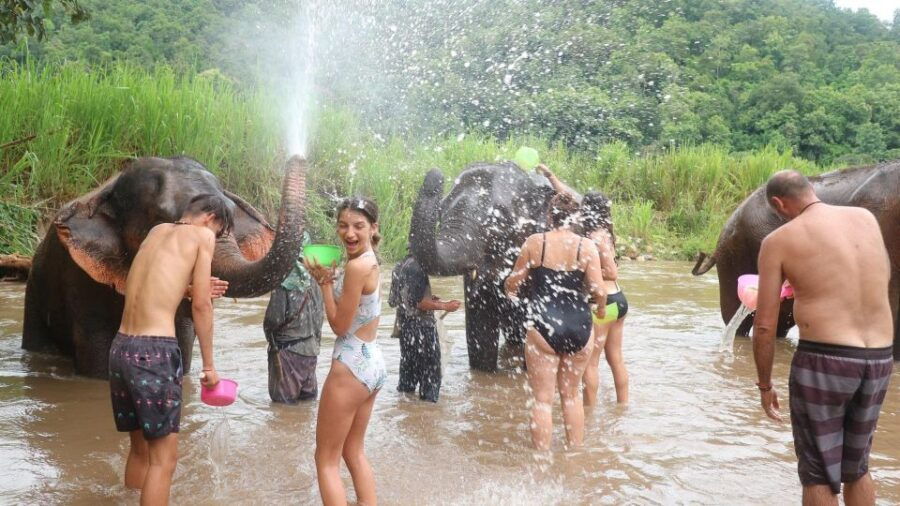 Chiang Mai: Doi Inthanon National Park & Elephants Sanctuary - Good To Know