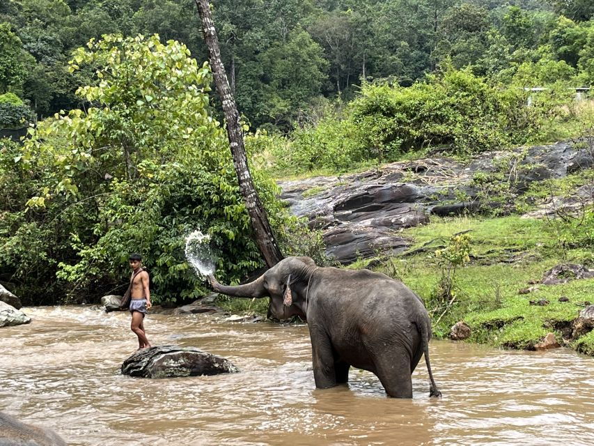 Chiang Mai: Elephant Sanctuary & Waterfall Group Tour - Good To Know