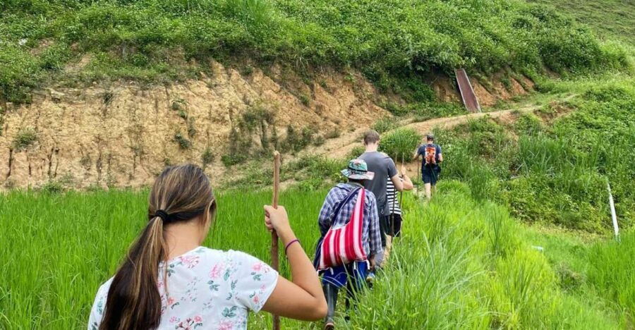 Chiang Mai: Mae Wang One Day Trekking - Good To Know